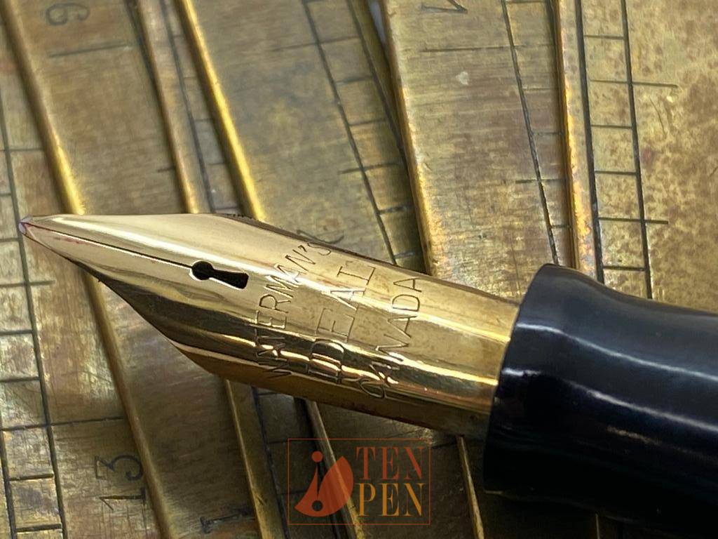 WATERMAN INK VUE - SILVER RAY | Tenpen - By Letizia Iacopini